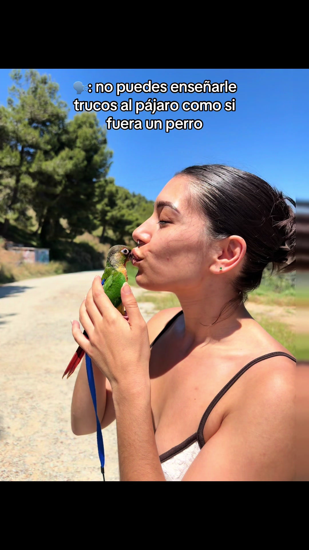 @Carla Basso