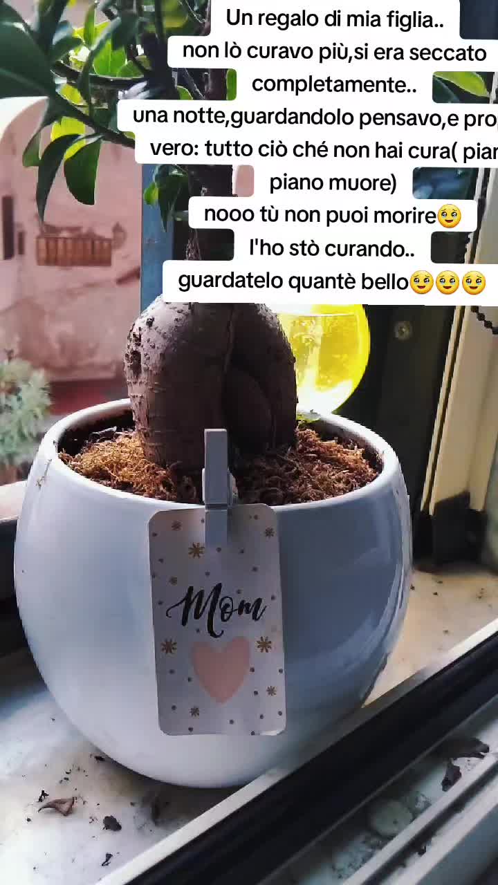 @Loredana♈️ Fioretti🌻🌞🐾🐶