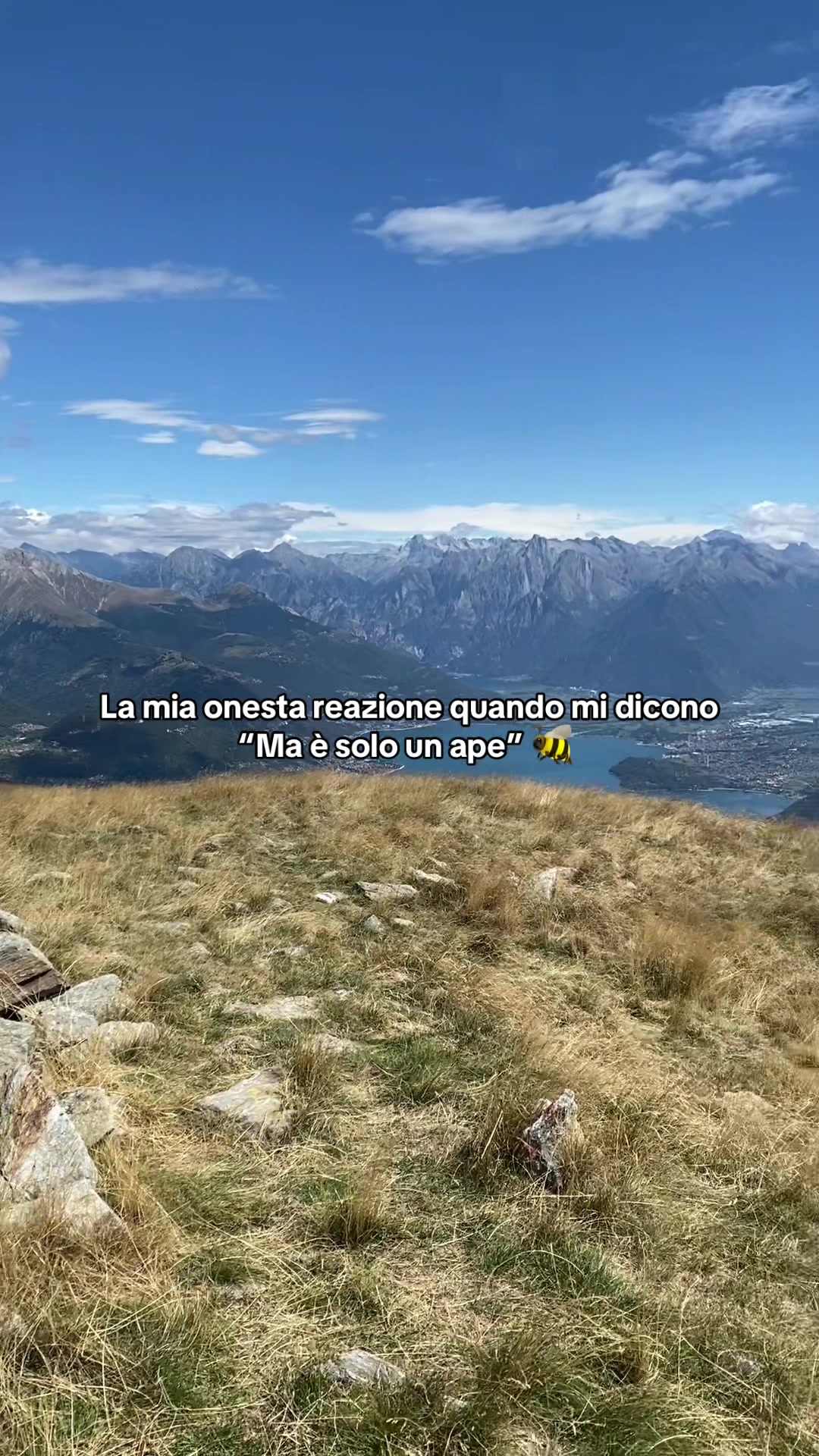 @Giuliana Mento