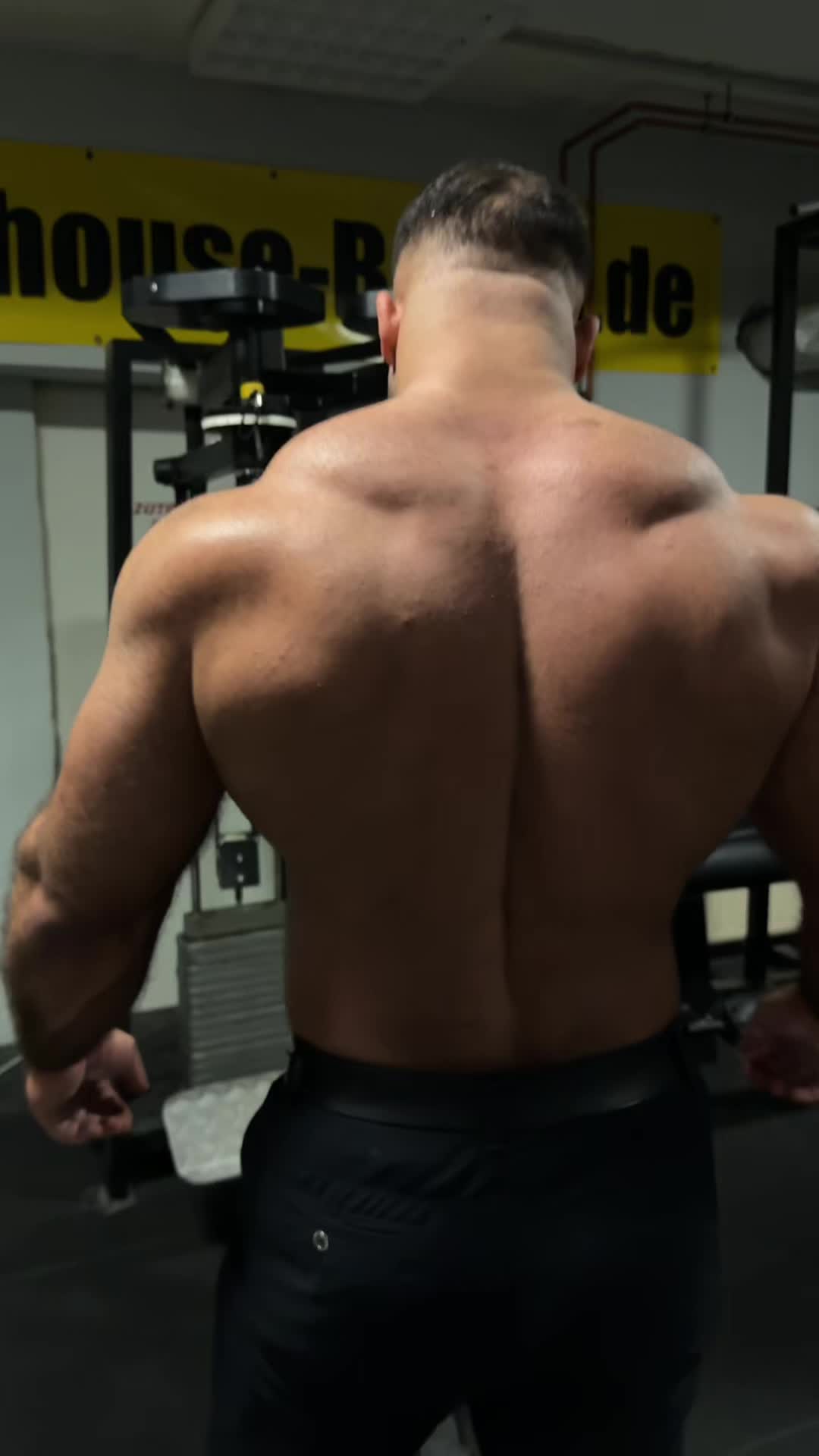 @Reza_silverback