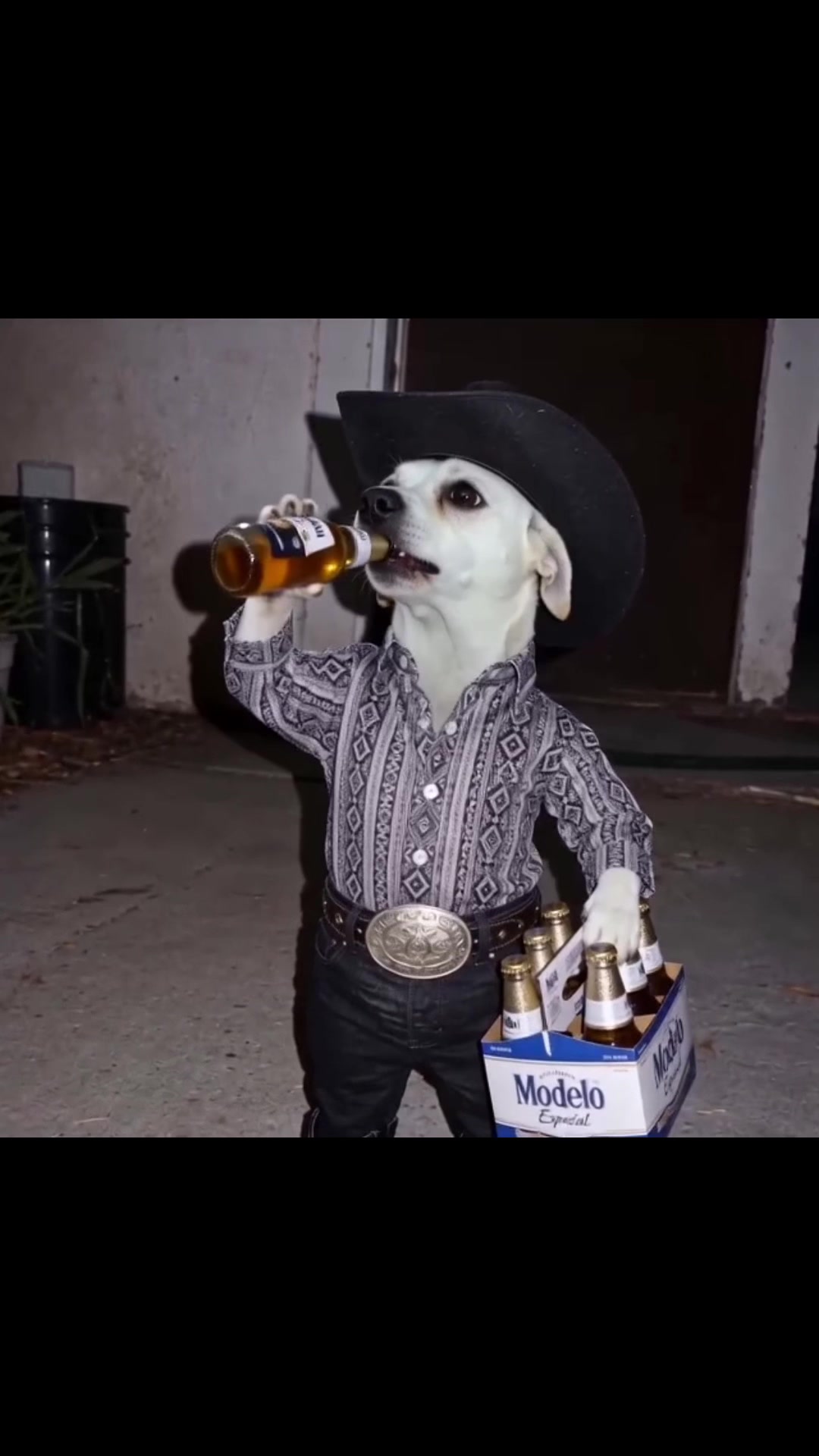 @𝕷𝖎𝖑 𝕭𝖑𝖚𝖊