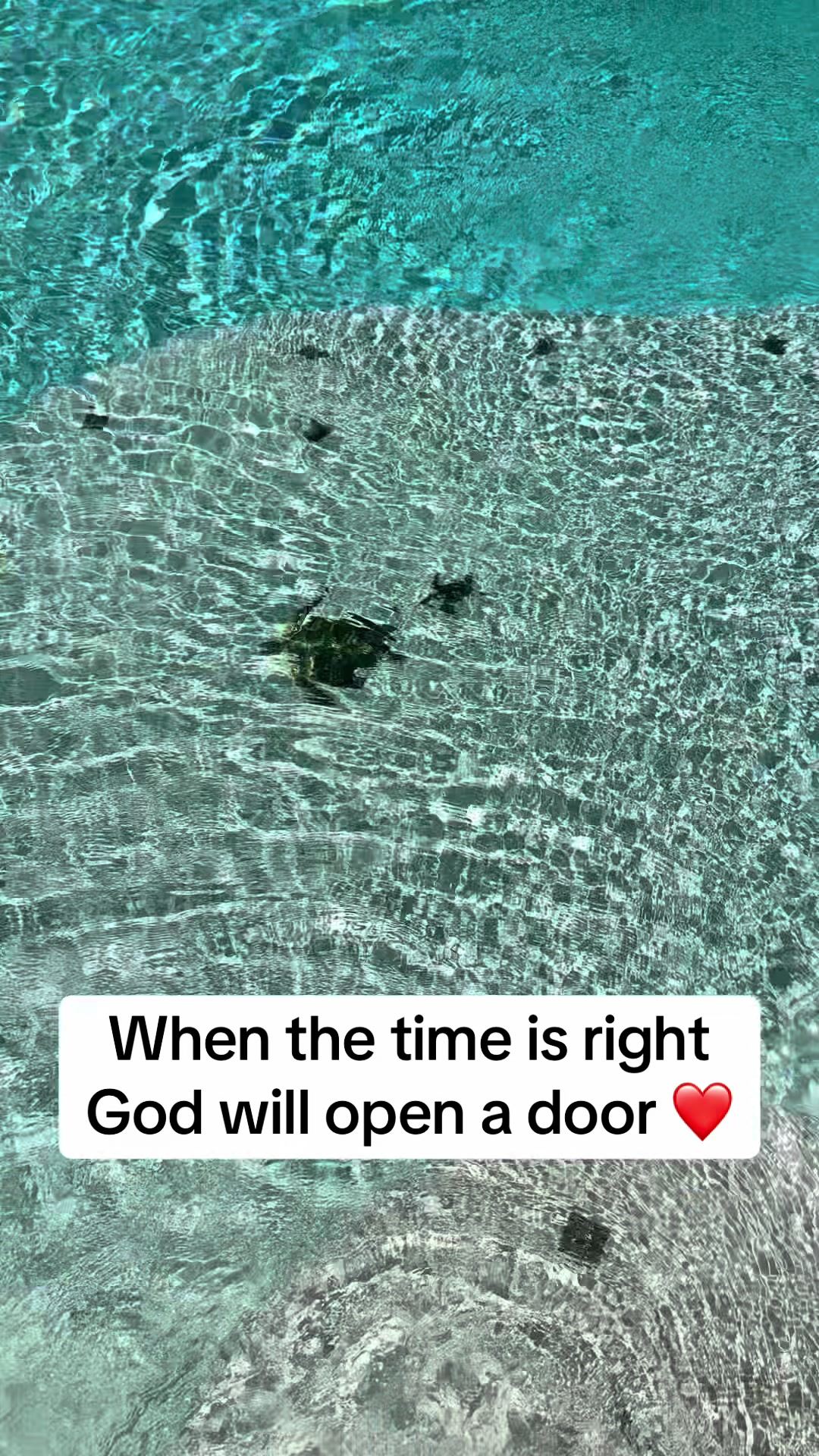 @Gina