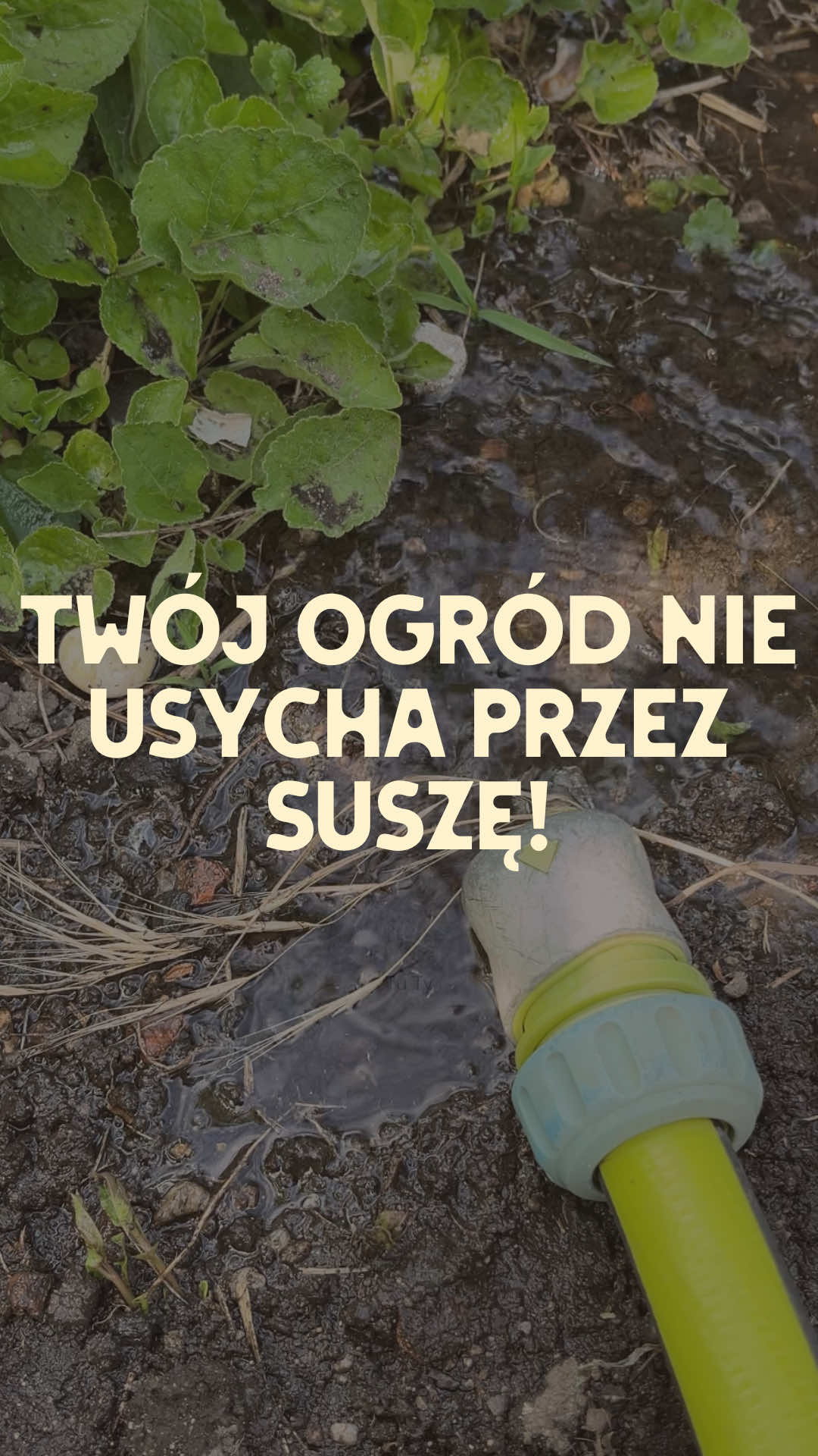 @Ogrodnik Doskonały