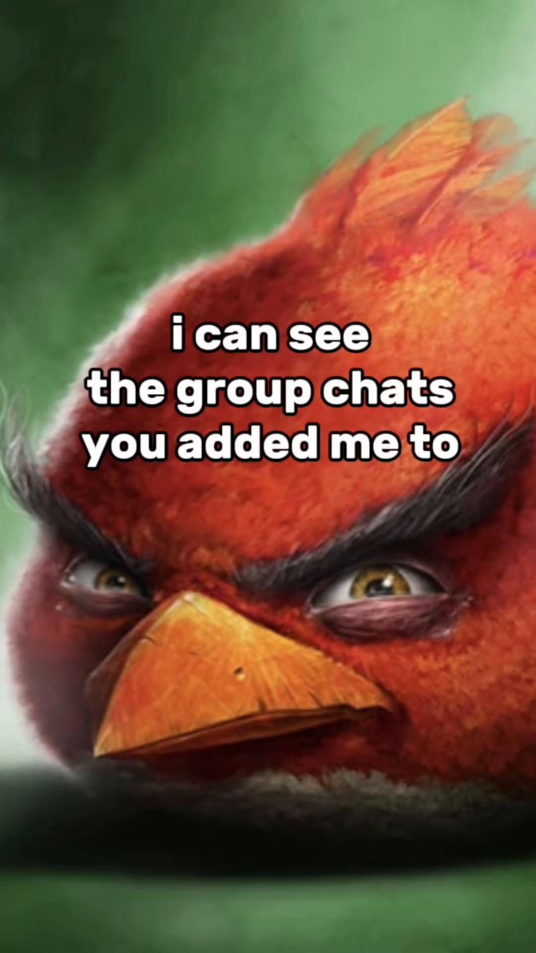 @Angry Birds