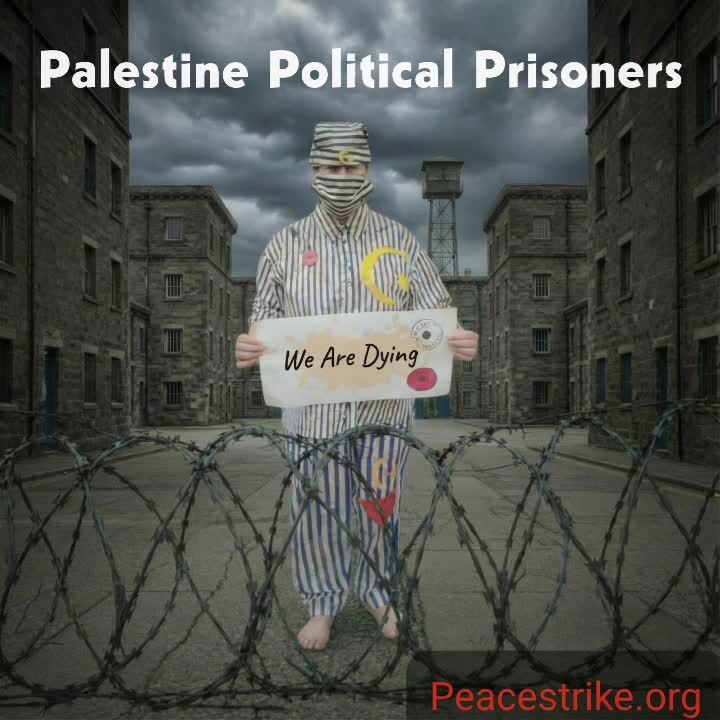 @PeaceStrike