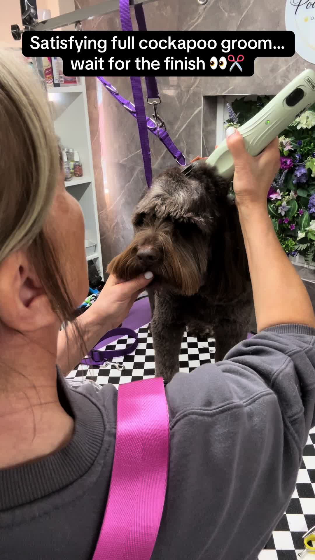@Poochiepoosdoggrooming