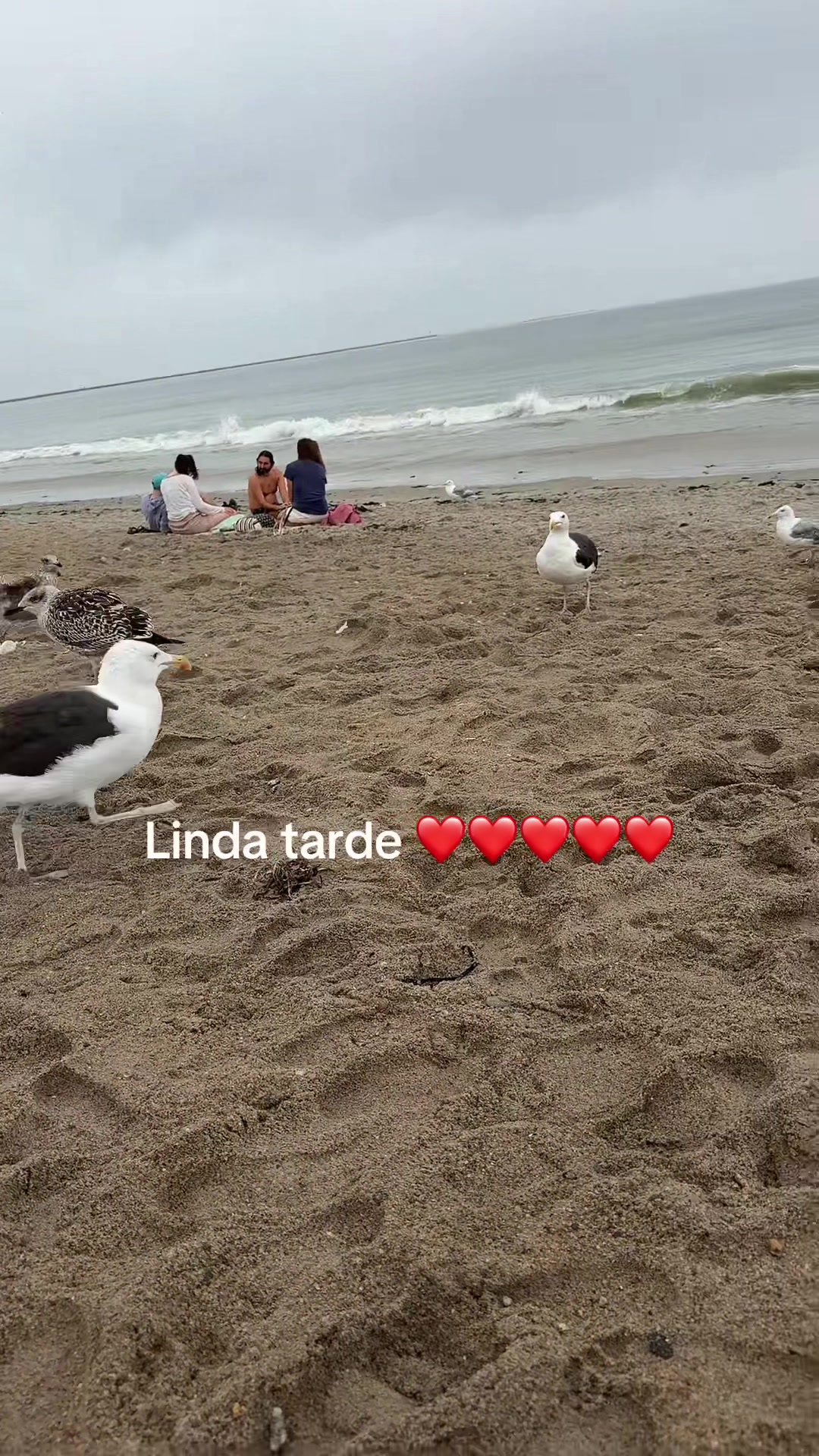 @Claudia López