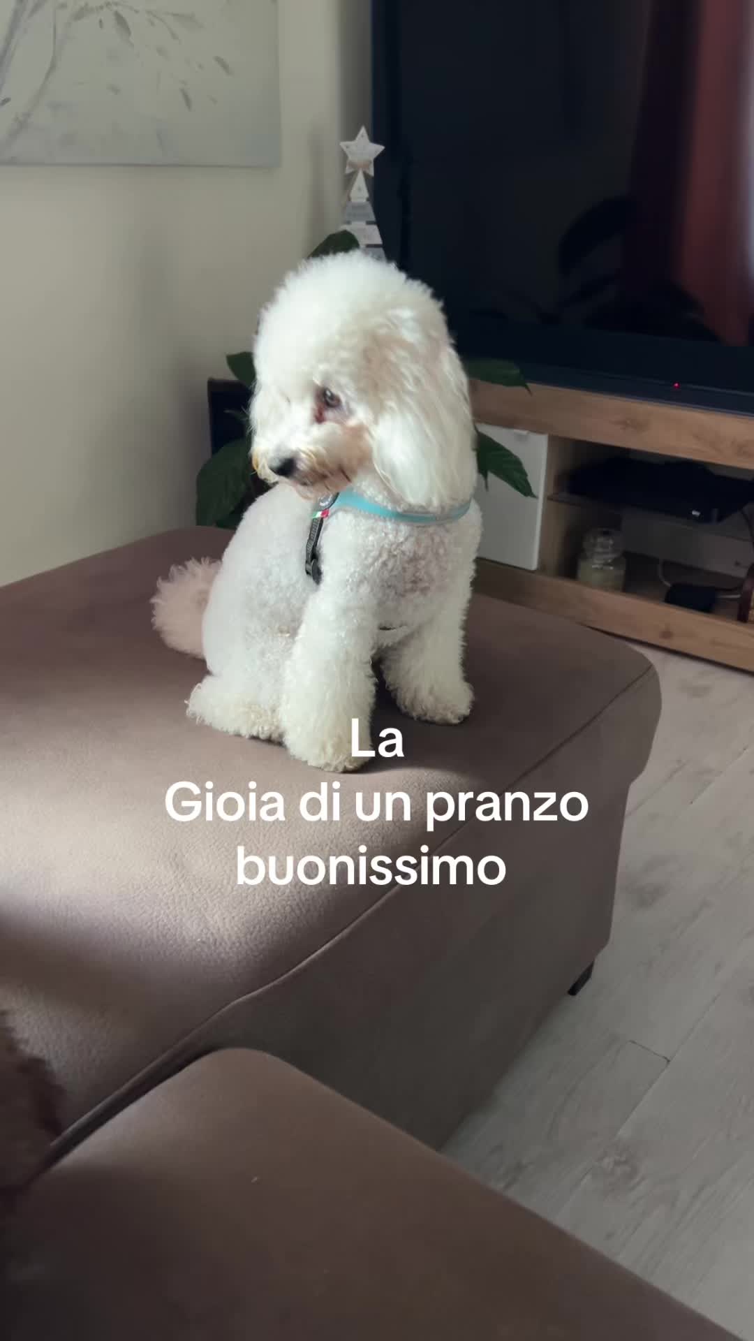 @Valeria