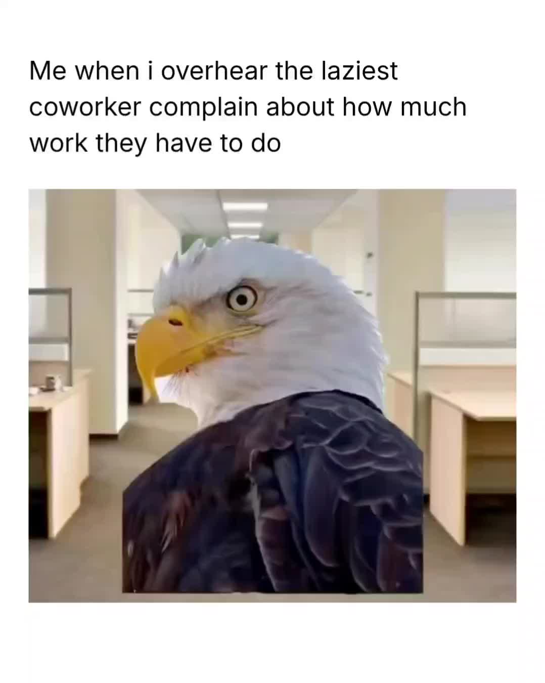 @Memezar
