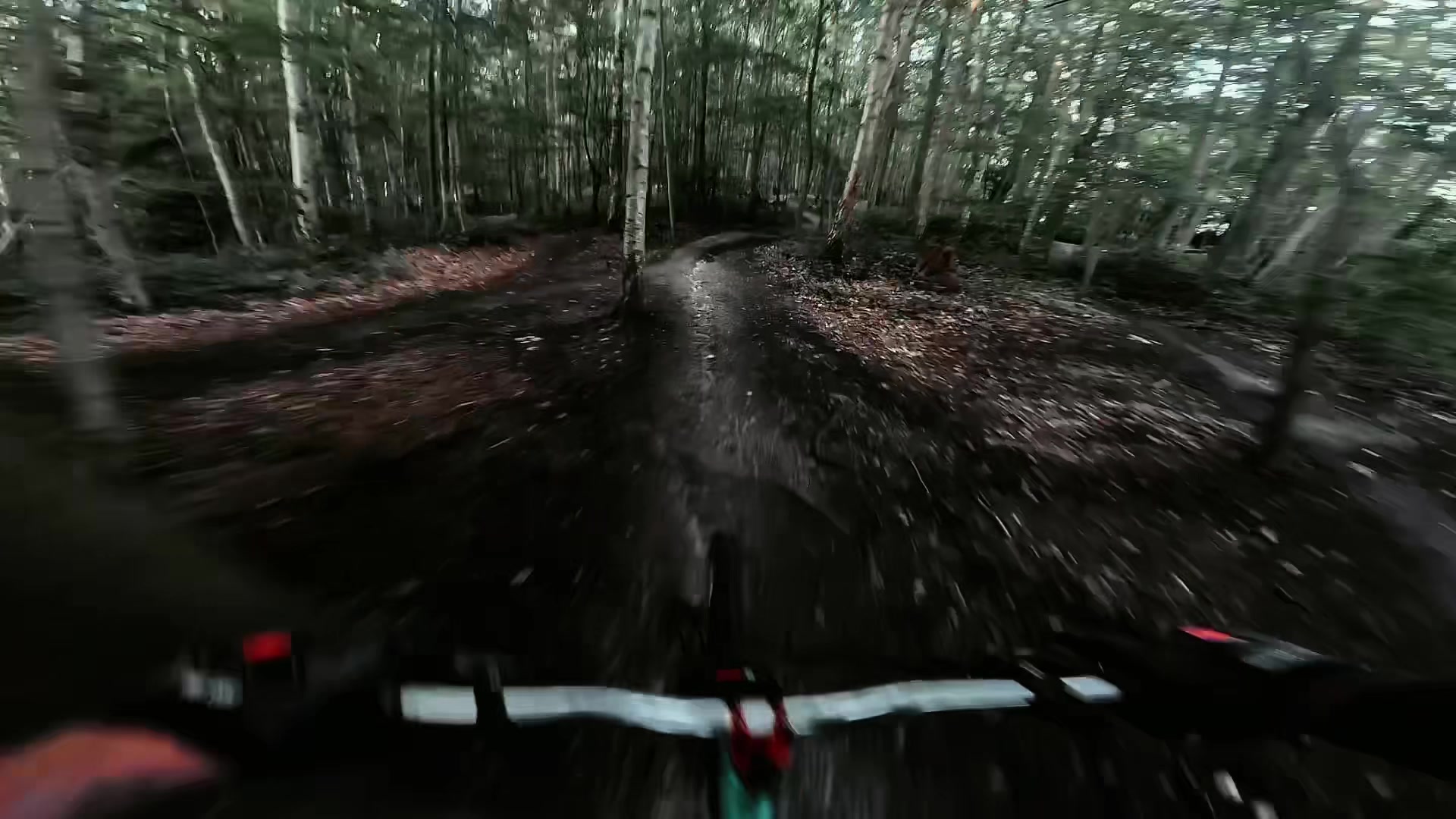 @MTB and life