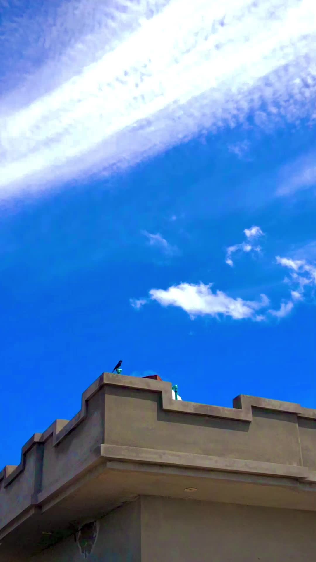 @🌾🌱پنجابی کلچر 🌾🌱