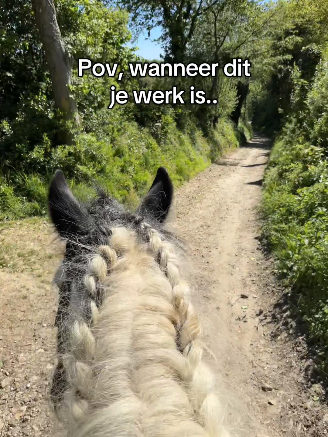 @Syrche Cordewener