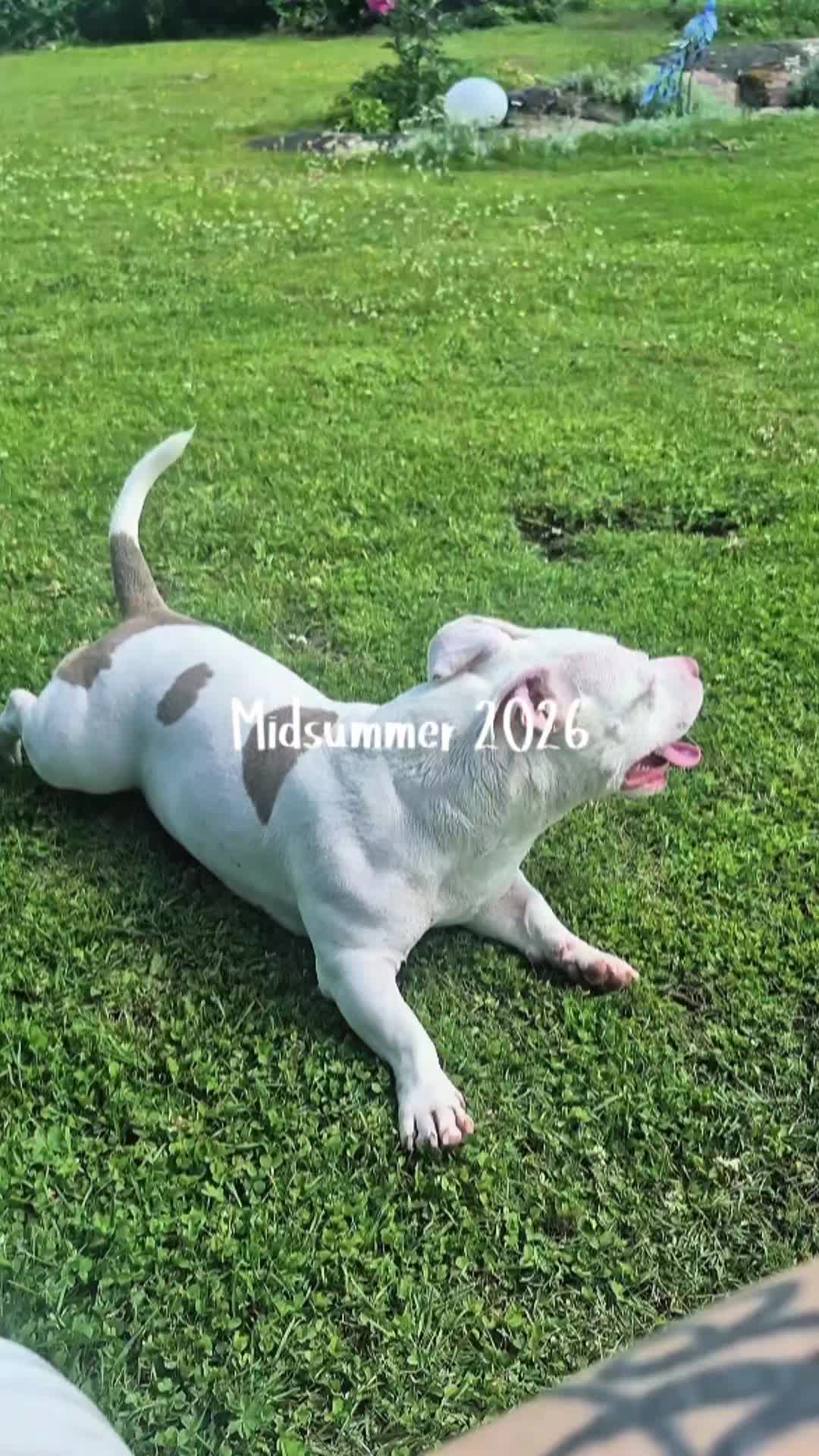 @🦄⃤𝓟𝓲𝓯𝓯 𝓪𝓷𝓭 𝓹𝓾𝓹𝓼
