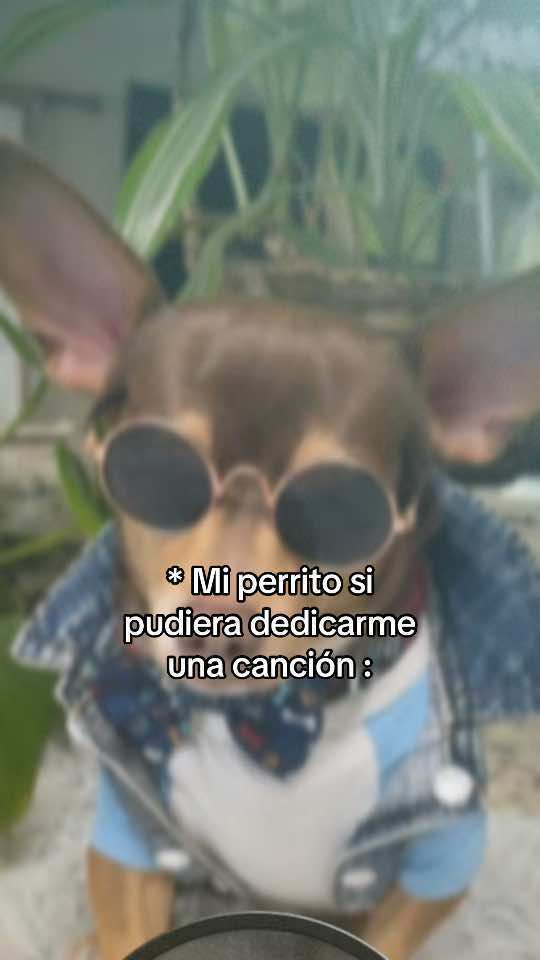 @Liz Vall.