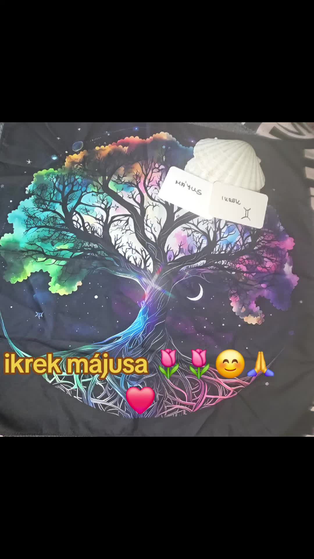 @szakr&aacute;lis var&aacute;zs