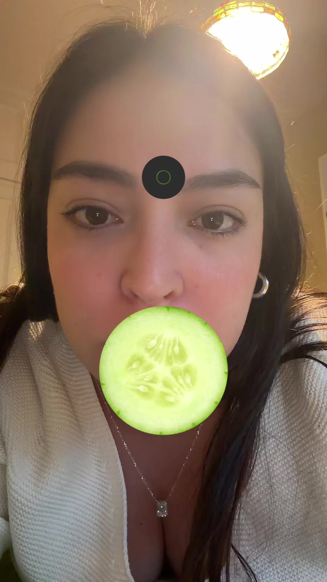@alee.dany