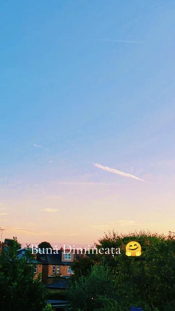 @𝓐𝓮𝓵𝓵𝓪 𝓜.