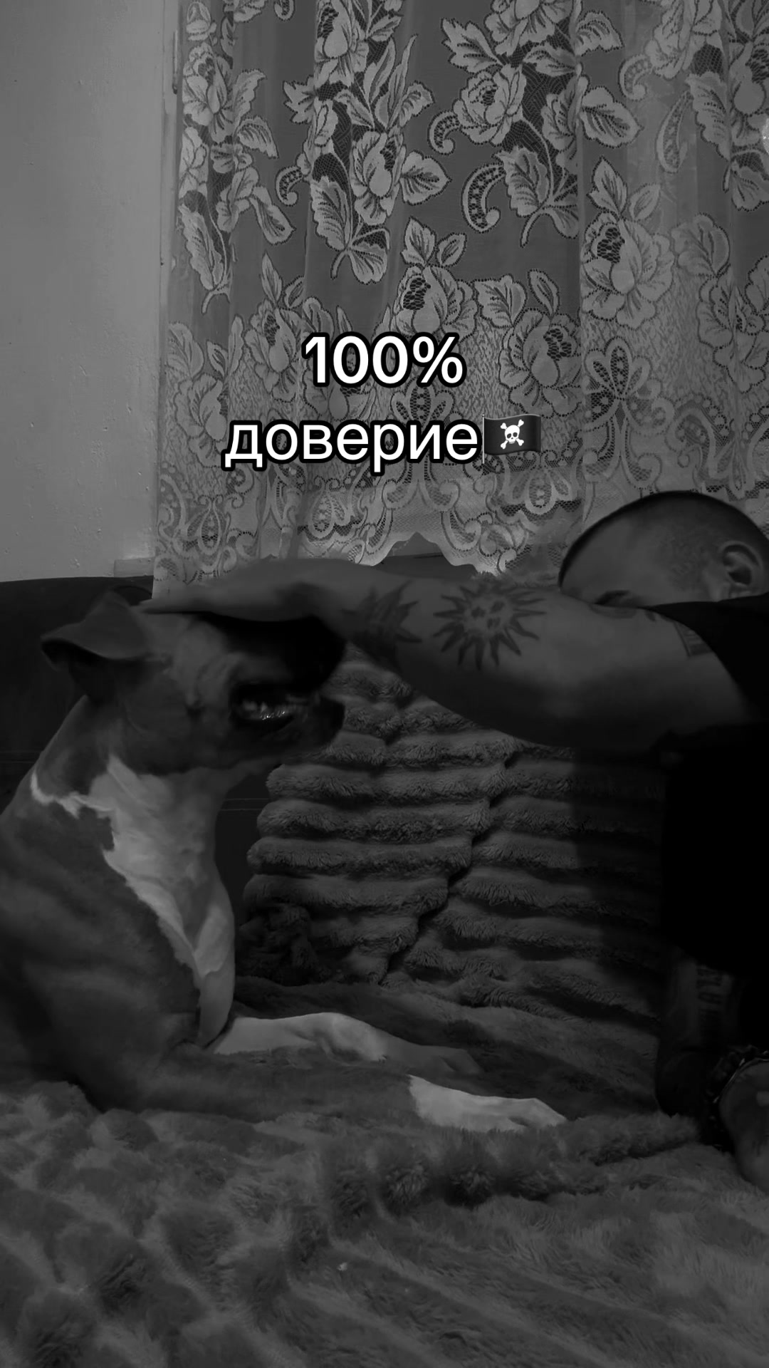 @_pazovv