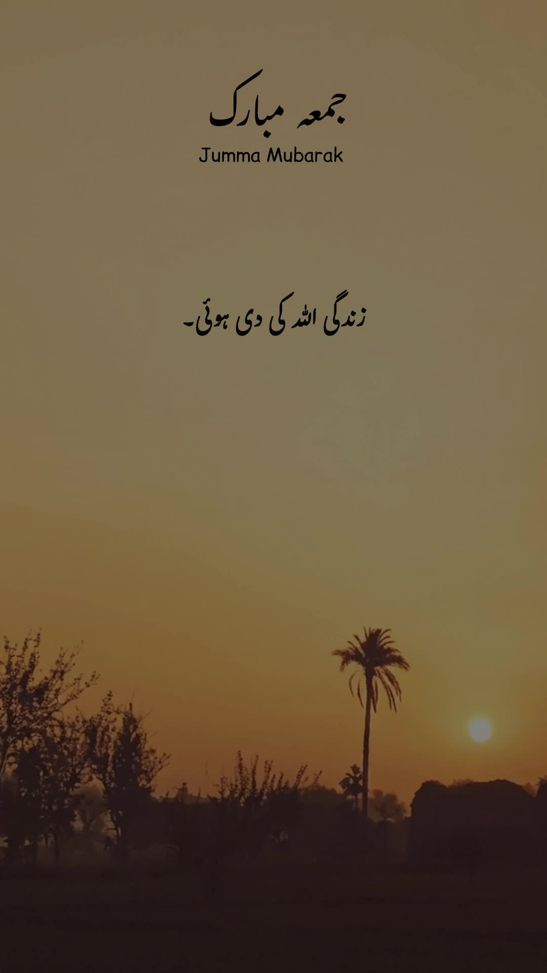 @𝐅𝐢𝐤𝐡𝐫𝐞-𝐃𝐞𝐞ن🫀