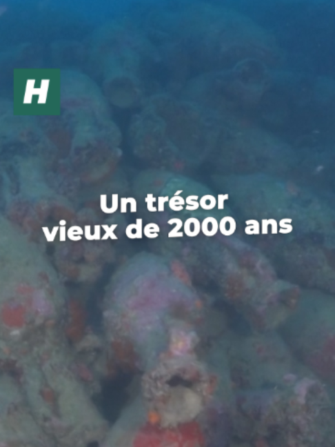 @Le Huffpost
