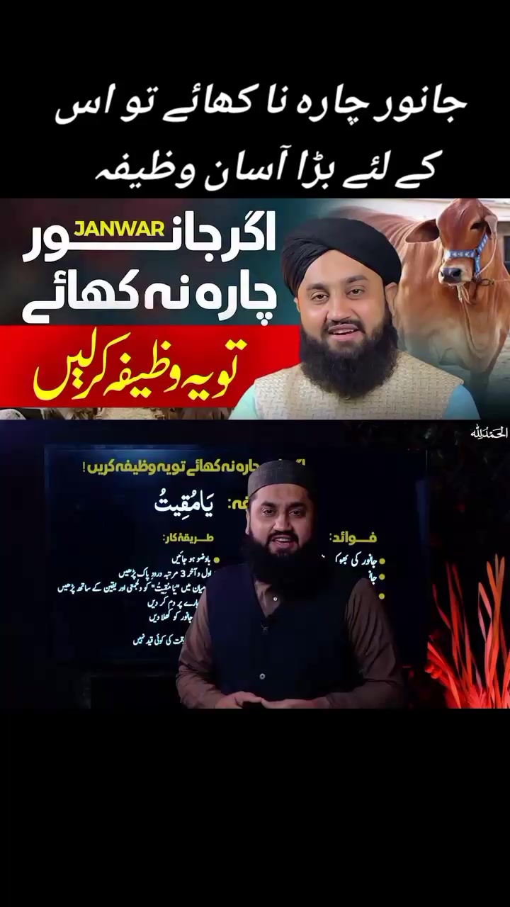 @꧁ᕯ❈Muhammad Saqib Attari❈ᕯ꧂i