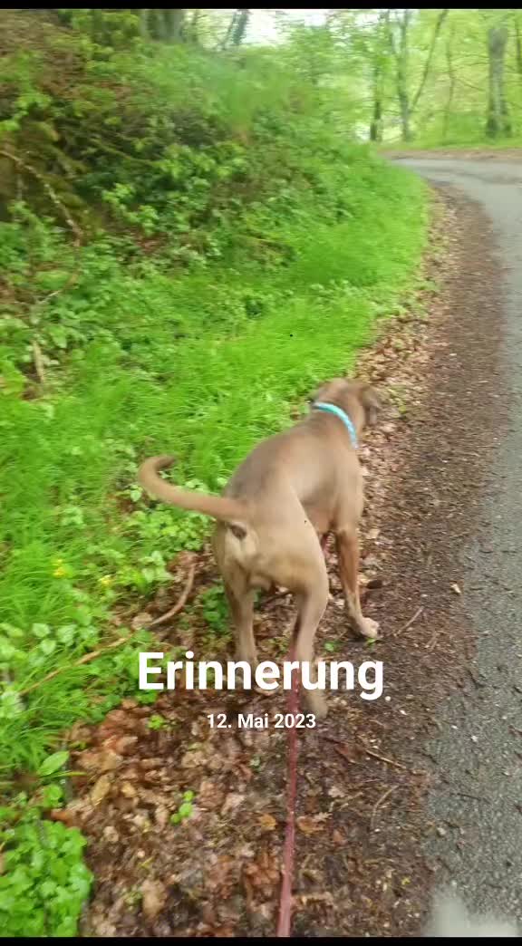 @nala23