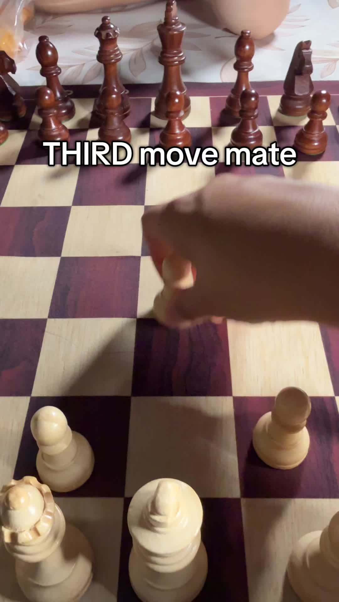 @Checkmate| chess