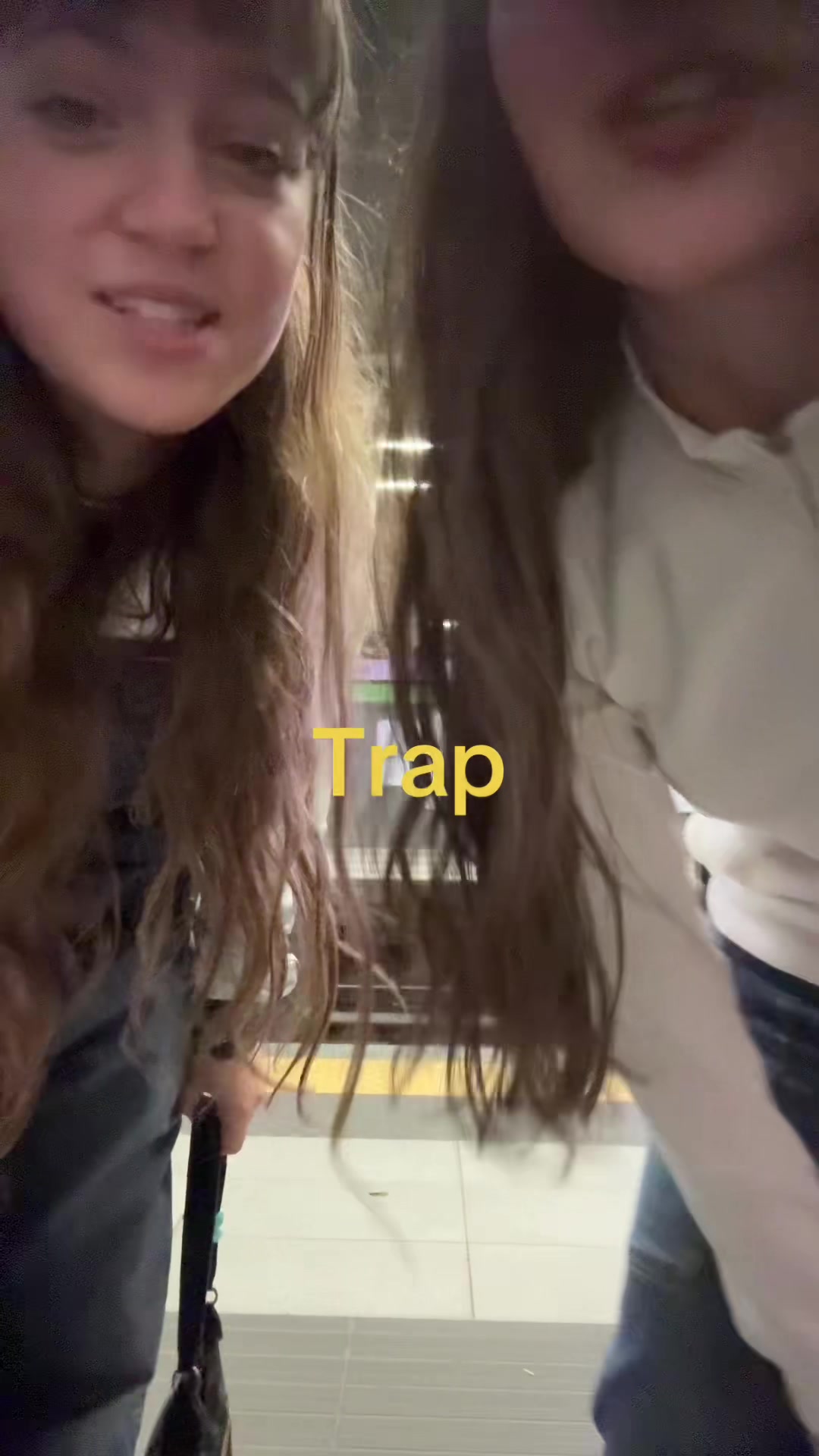 @bibos