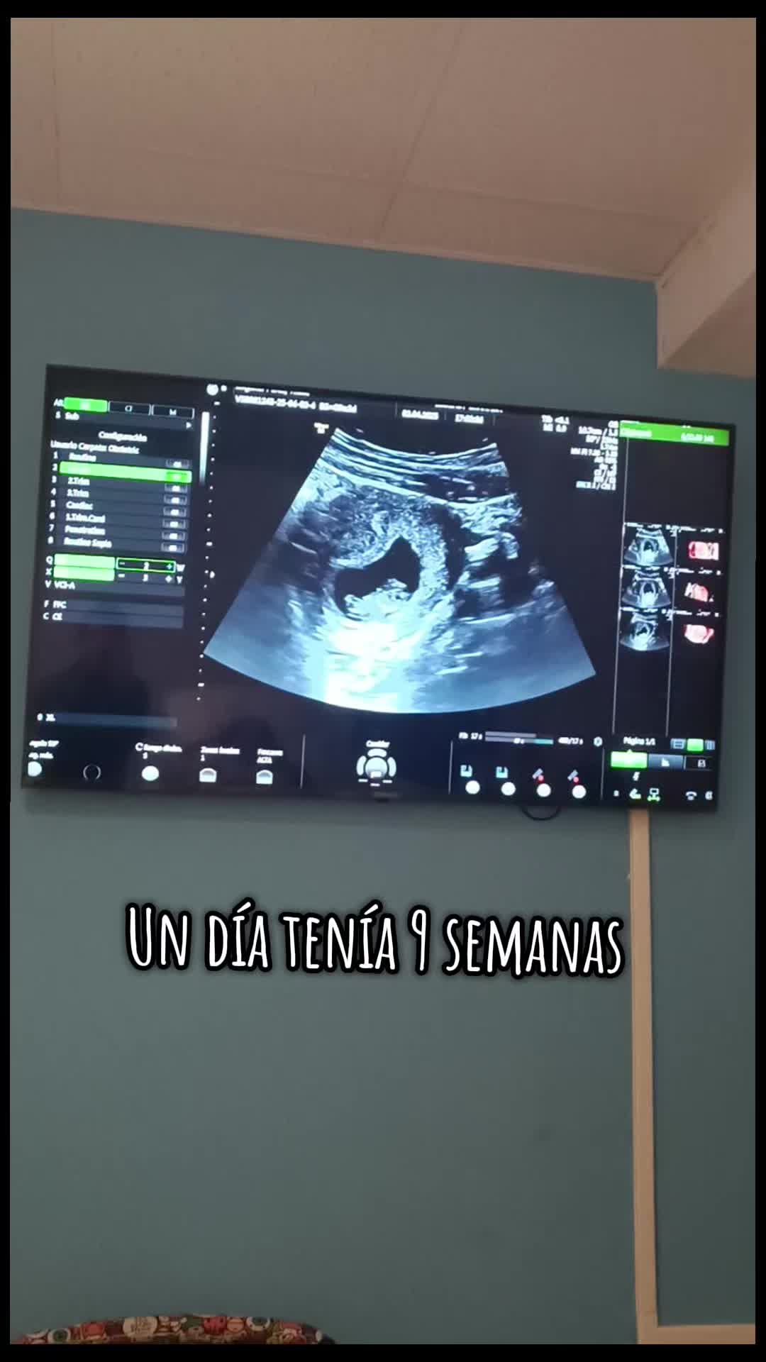 @⚖️🦂🐯JairoReyes🐯🦂⚖️