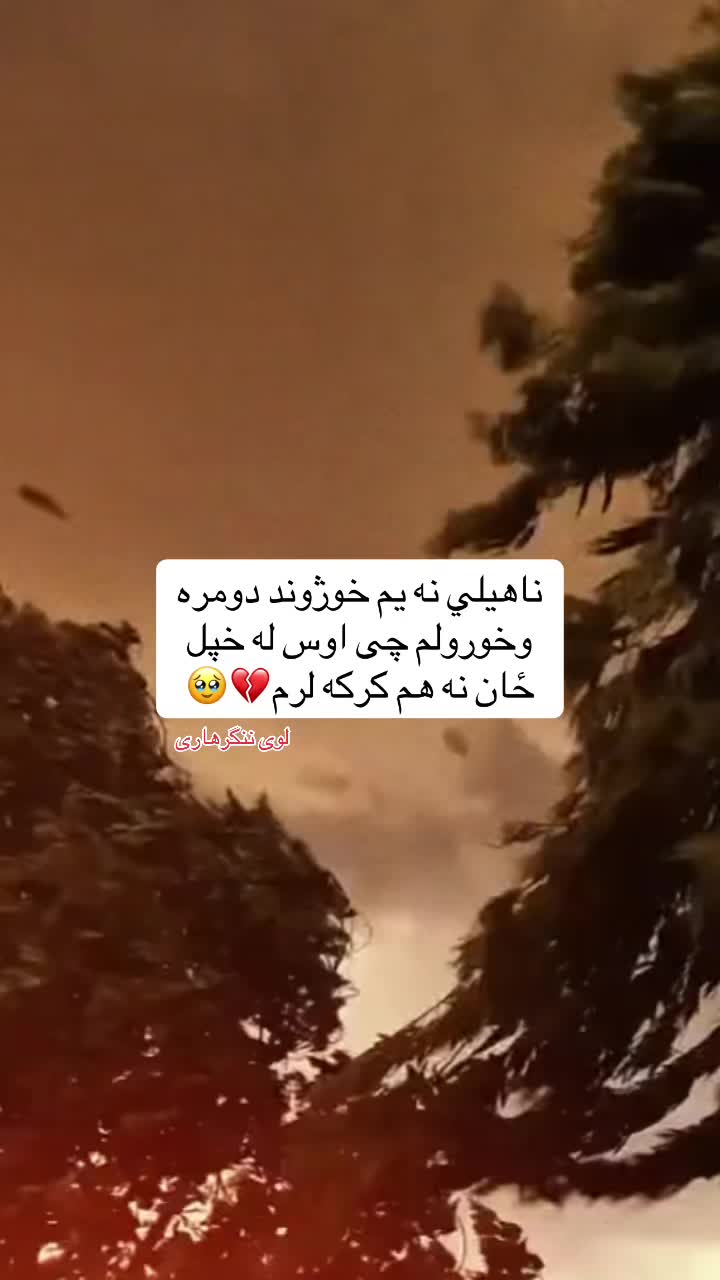 @🍃💔𓆩 رئیس شُوخ هلک 𓆪🥹🍃