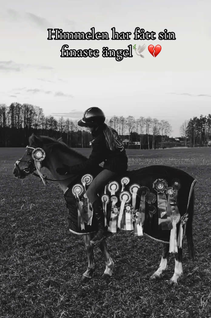 @🇸🇪Meja Karlsson🇸🇪