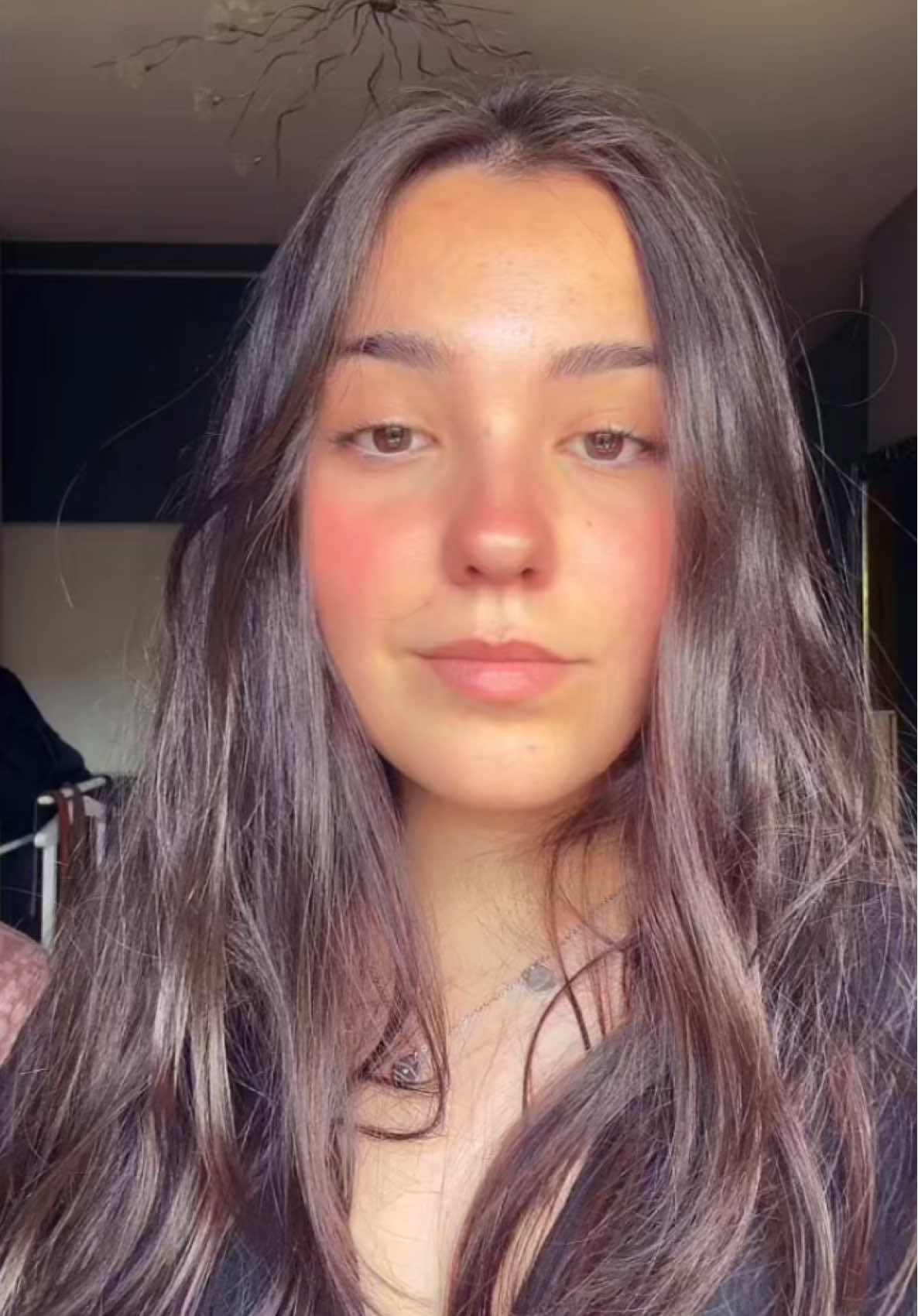 @paaulabeitia