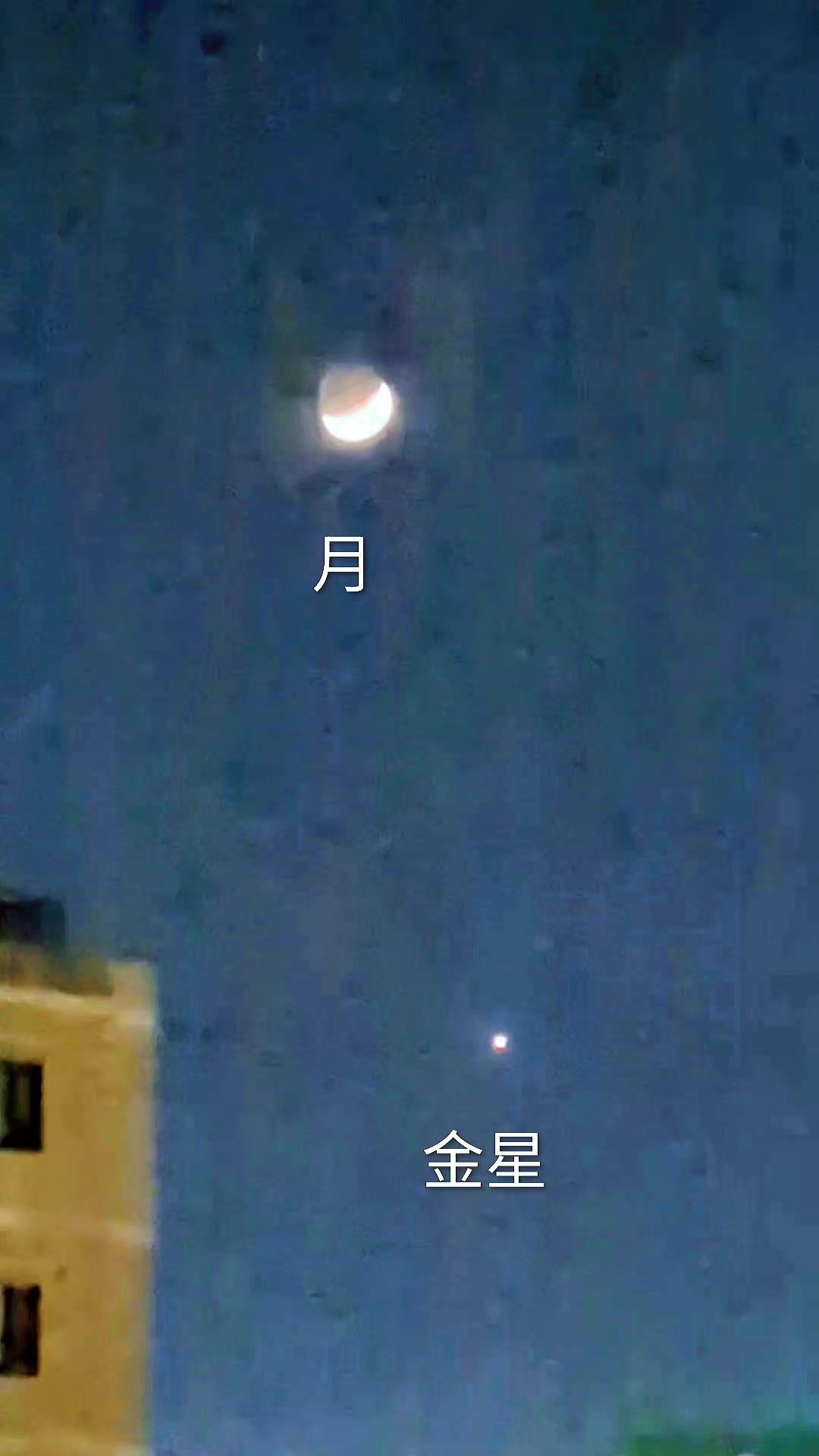 @銀の龍