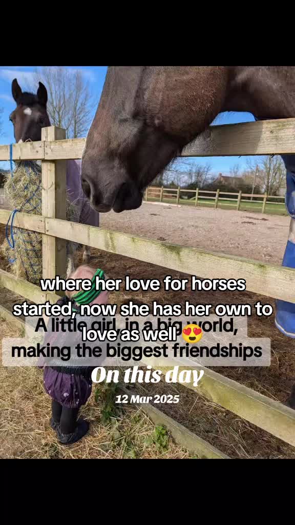 @The.Unstable.Stables