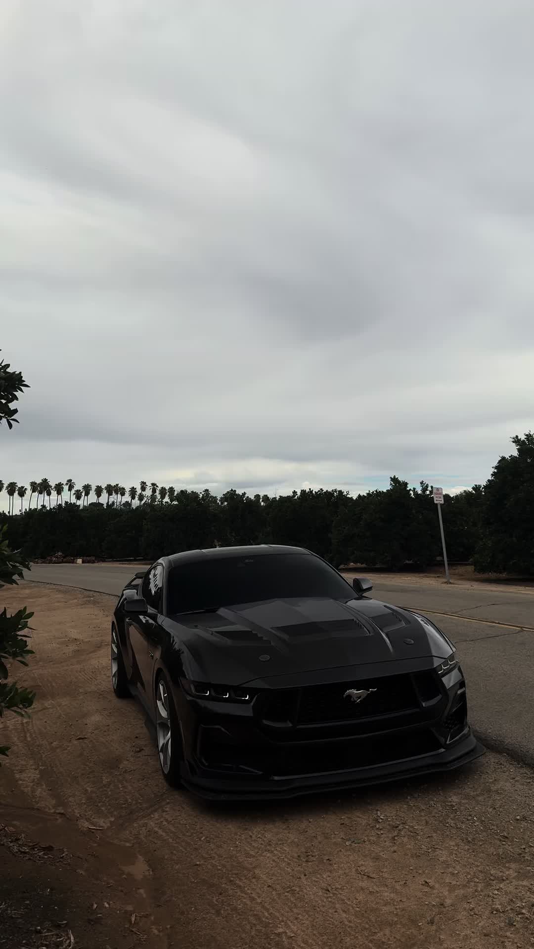 @alt_pony