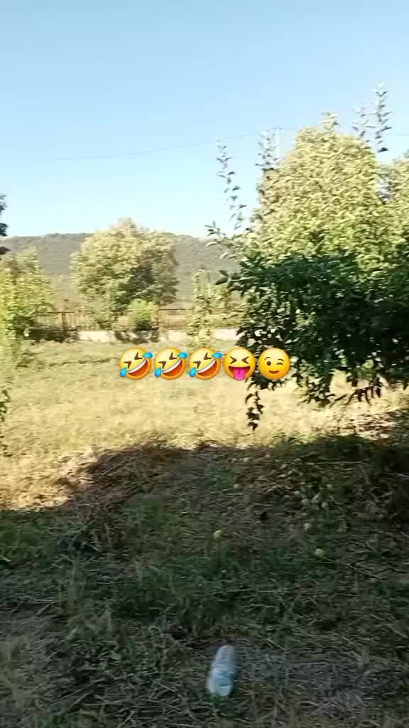 @ГЕРГАНА АСЕНОВА