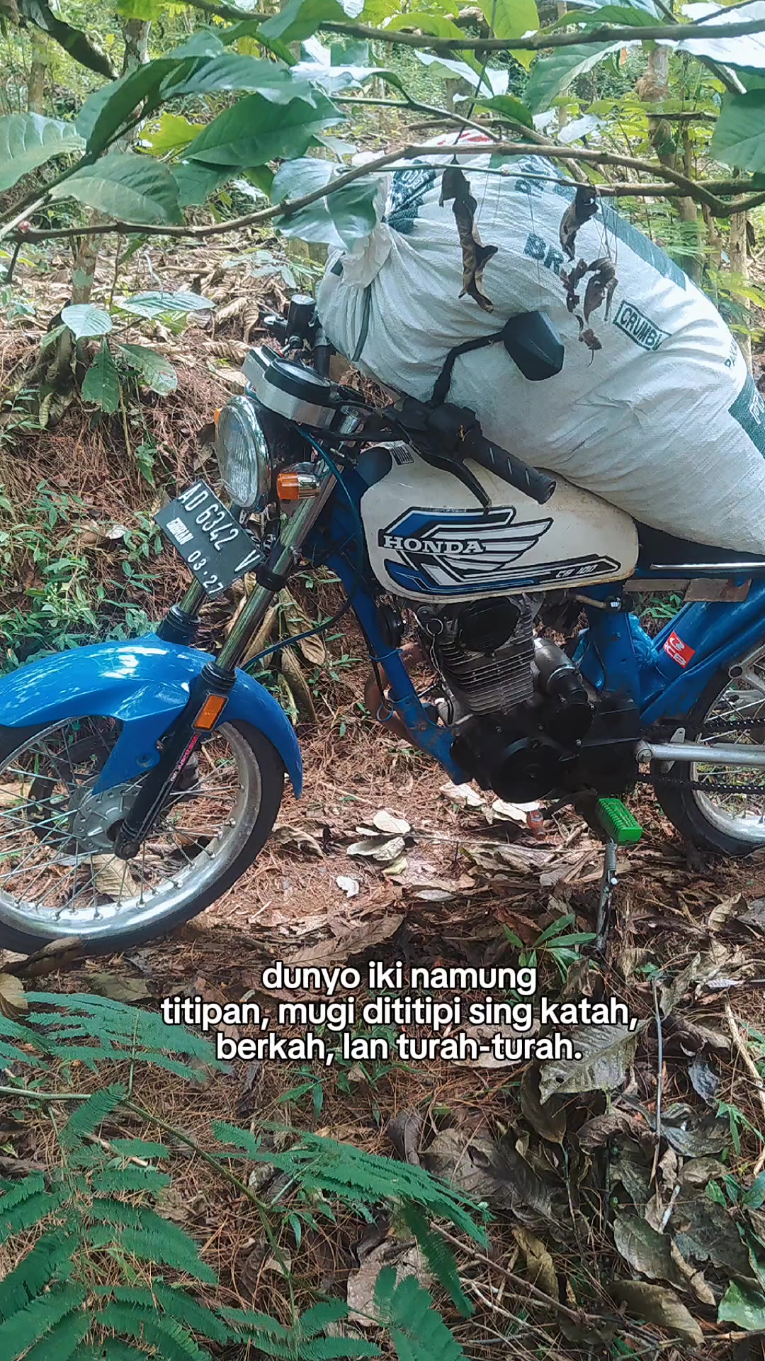 @Blessing_fish