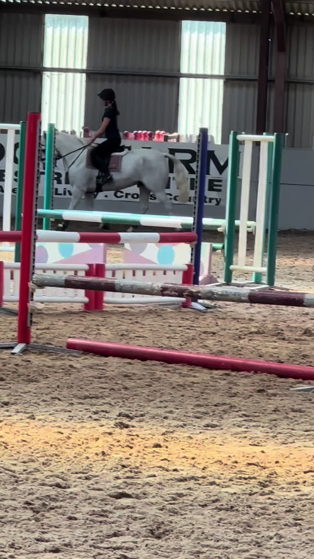 @amelia_showjumping2