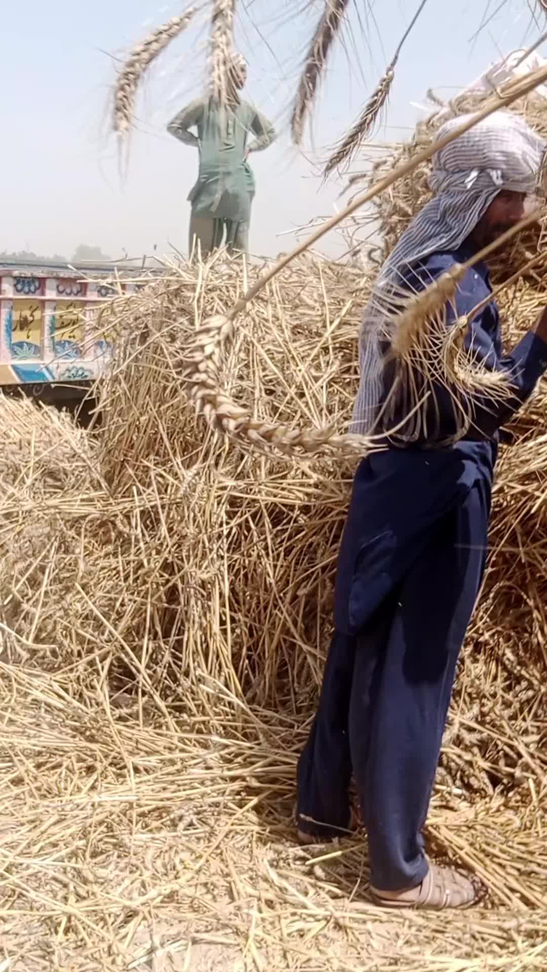 @پینڈو آفیشل🤪🤪