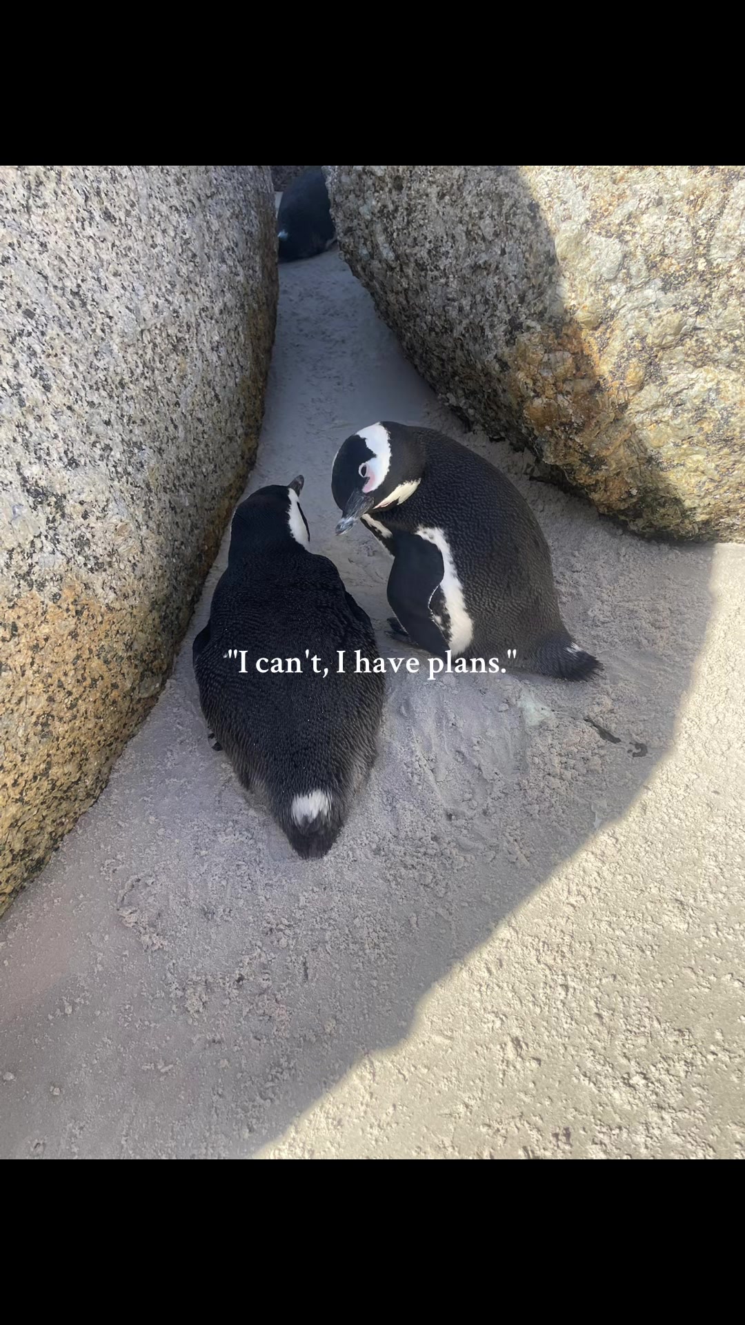 @Natalia