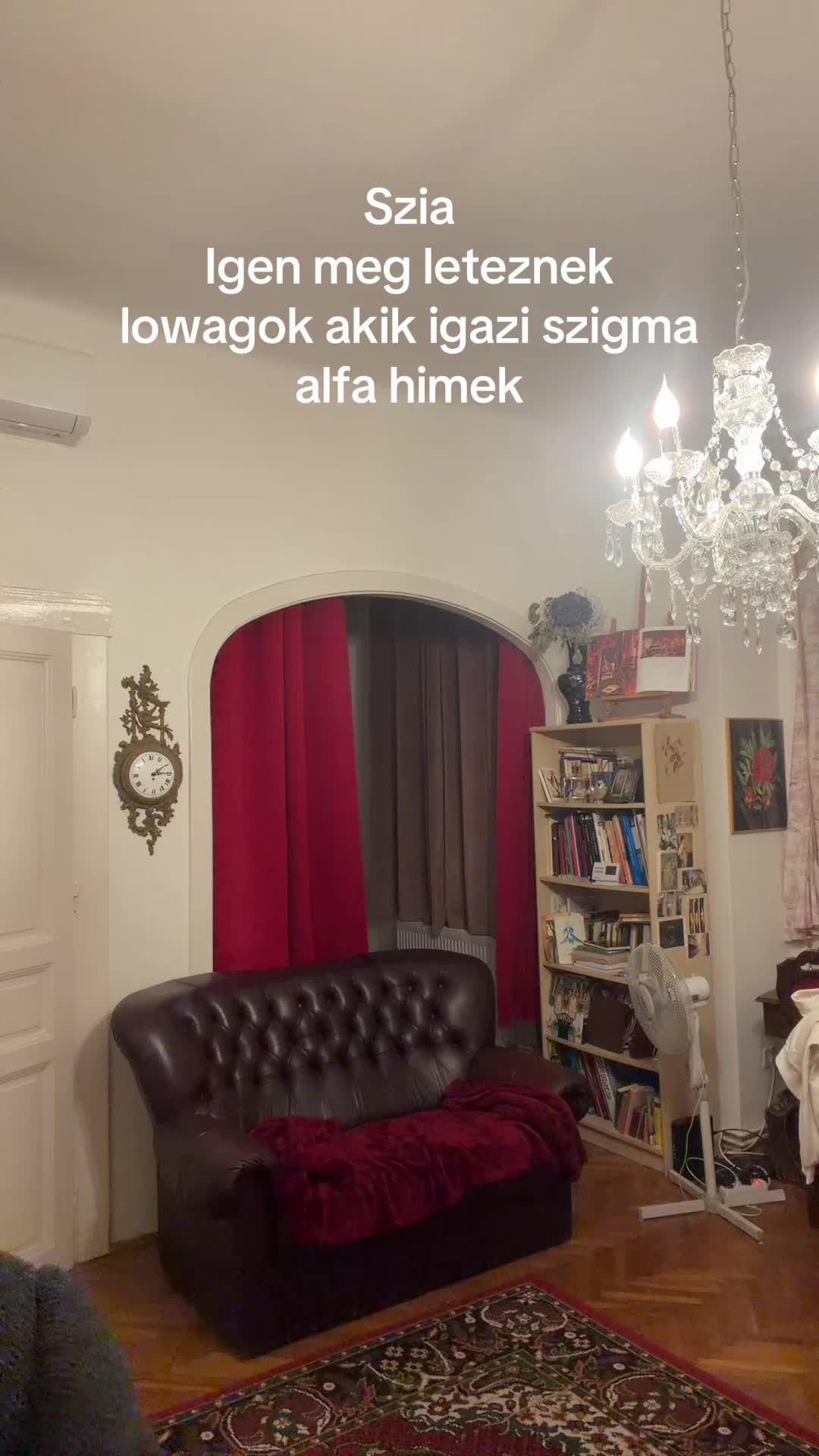 @MoustacheBoy