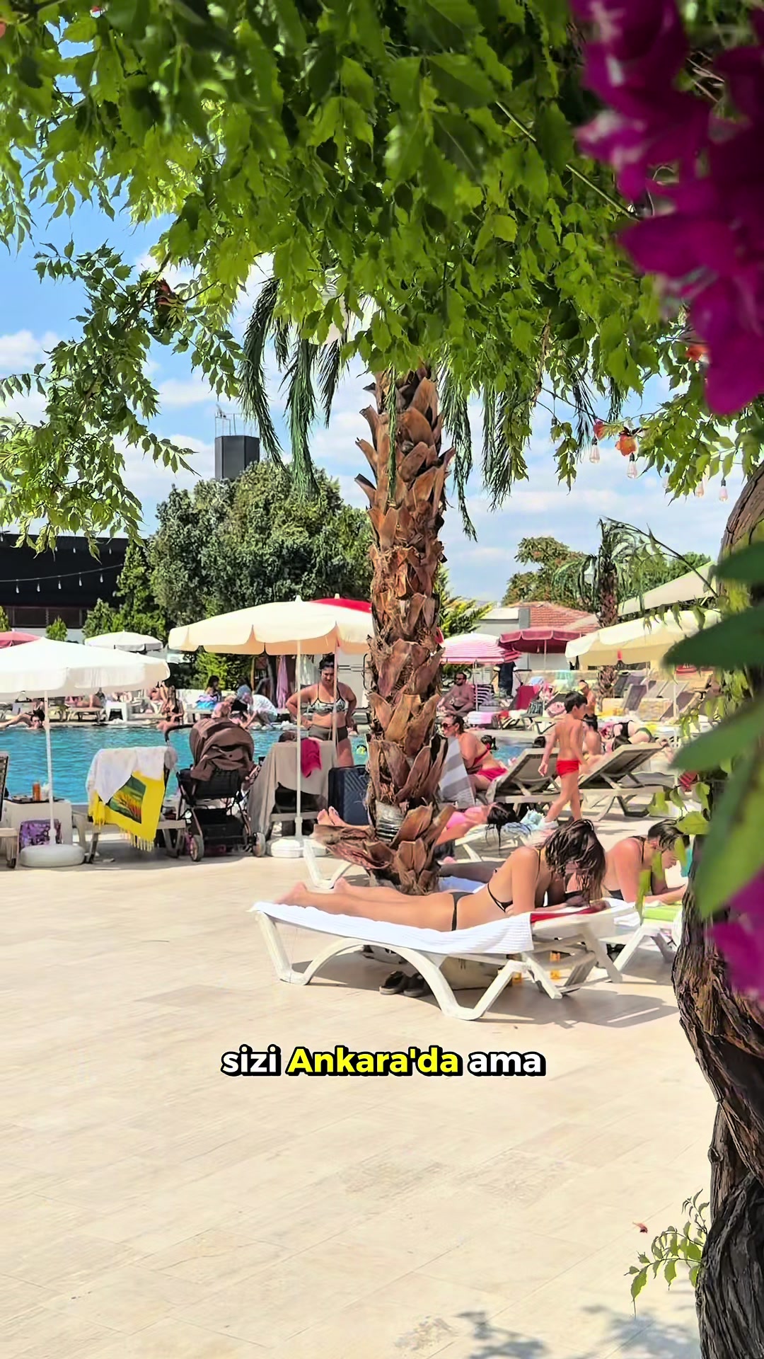 @Basakercetin