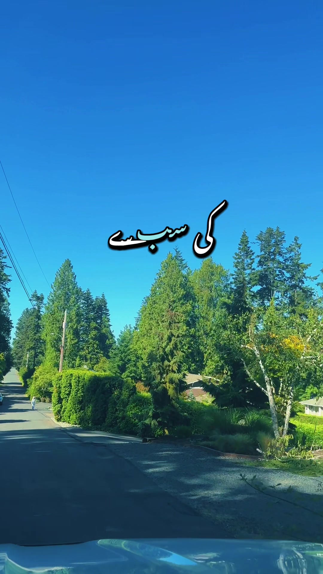 @Syeda-G 007
