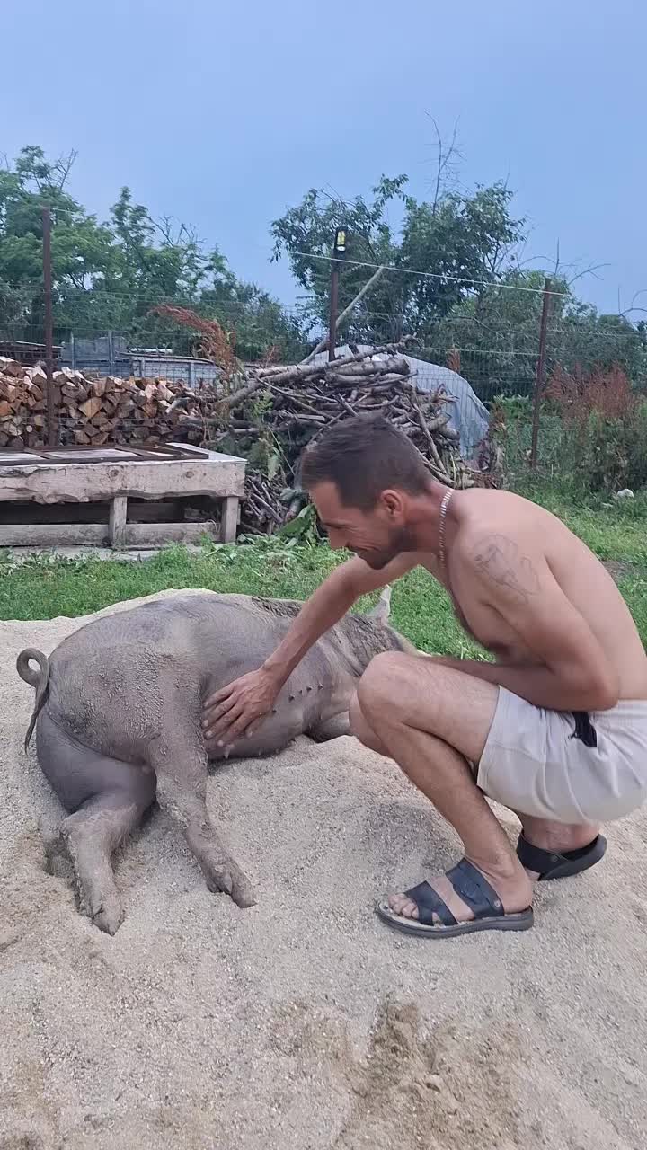@silviu87