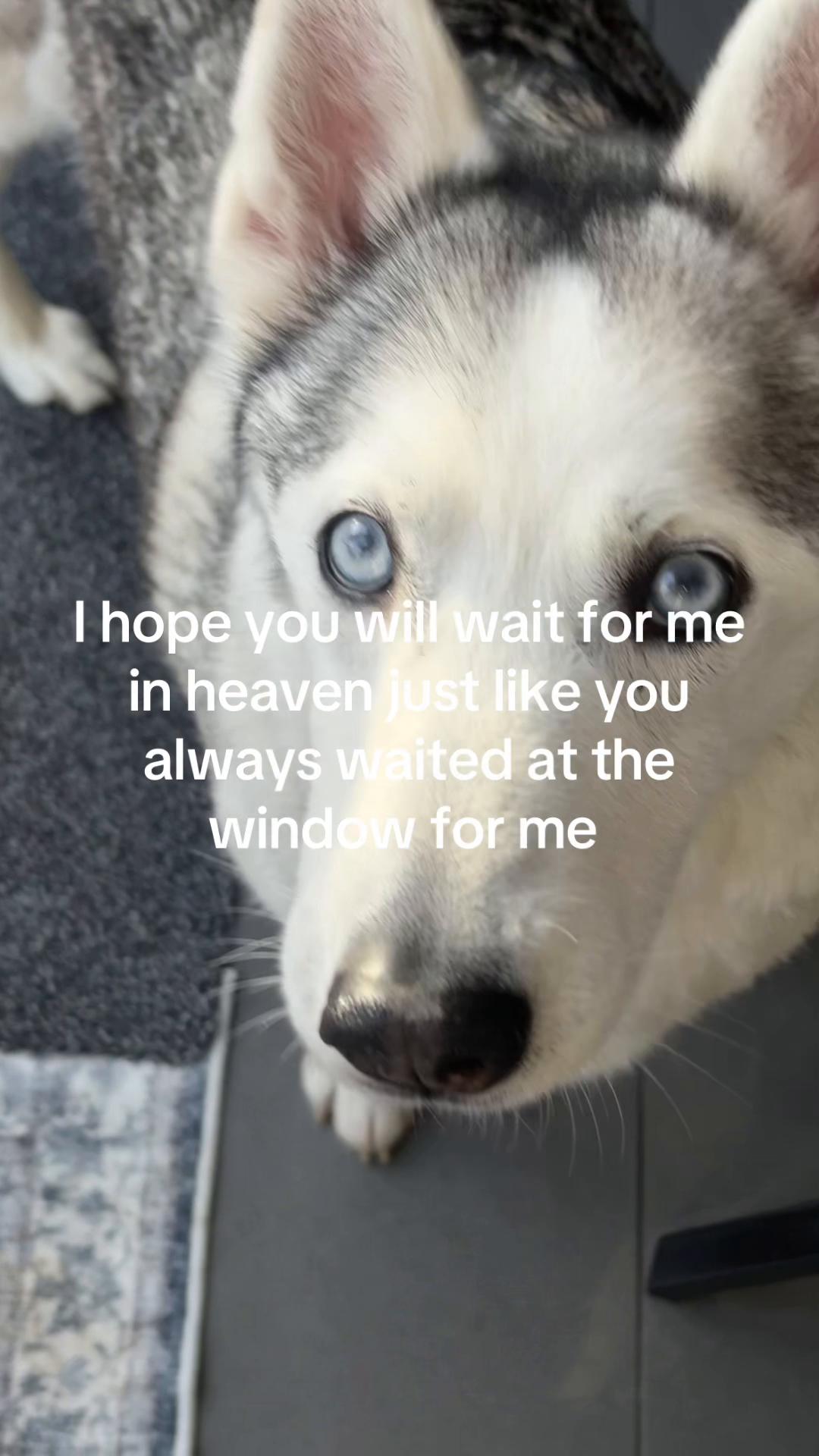 @Sophie Leonard