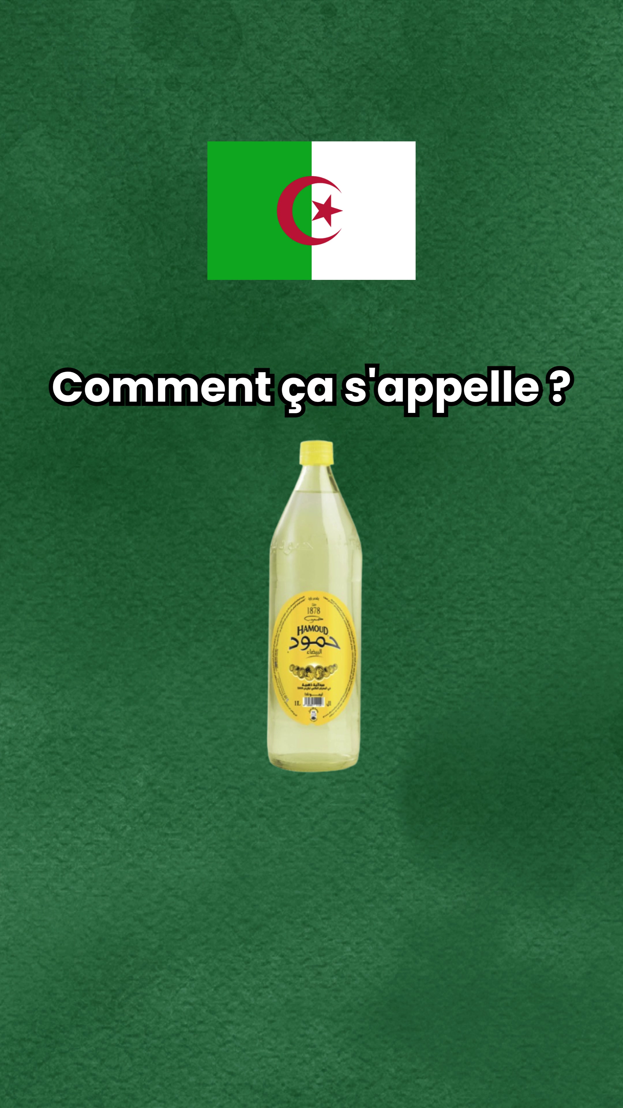 @parler_algerien