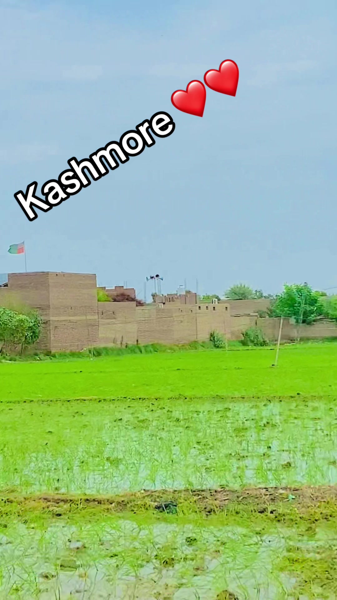 @bts_kashmore