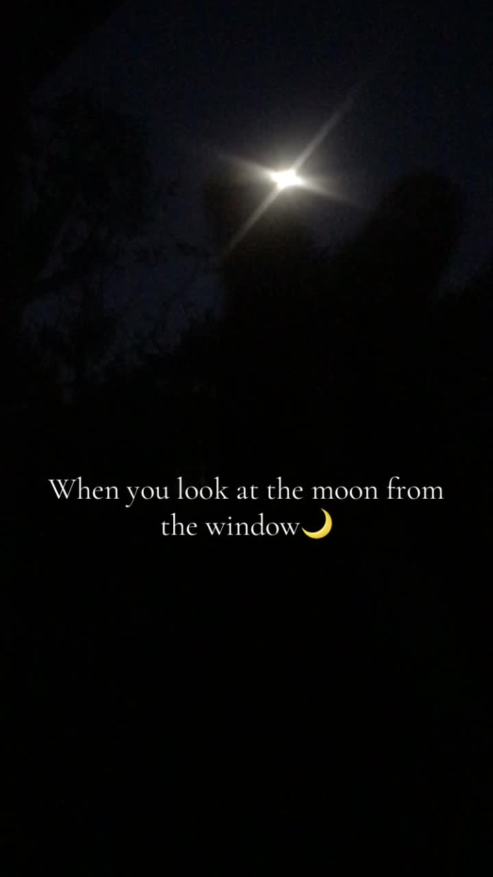 @seema17175