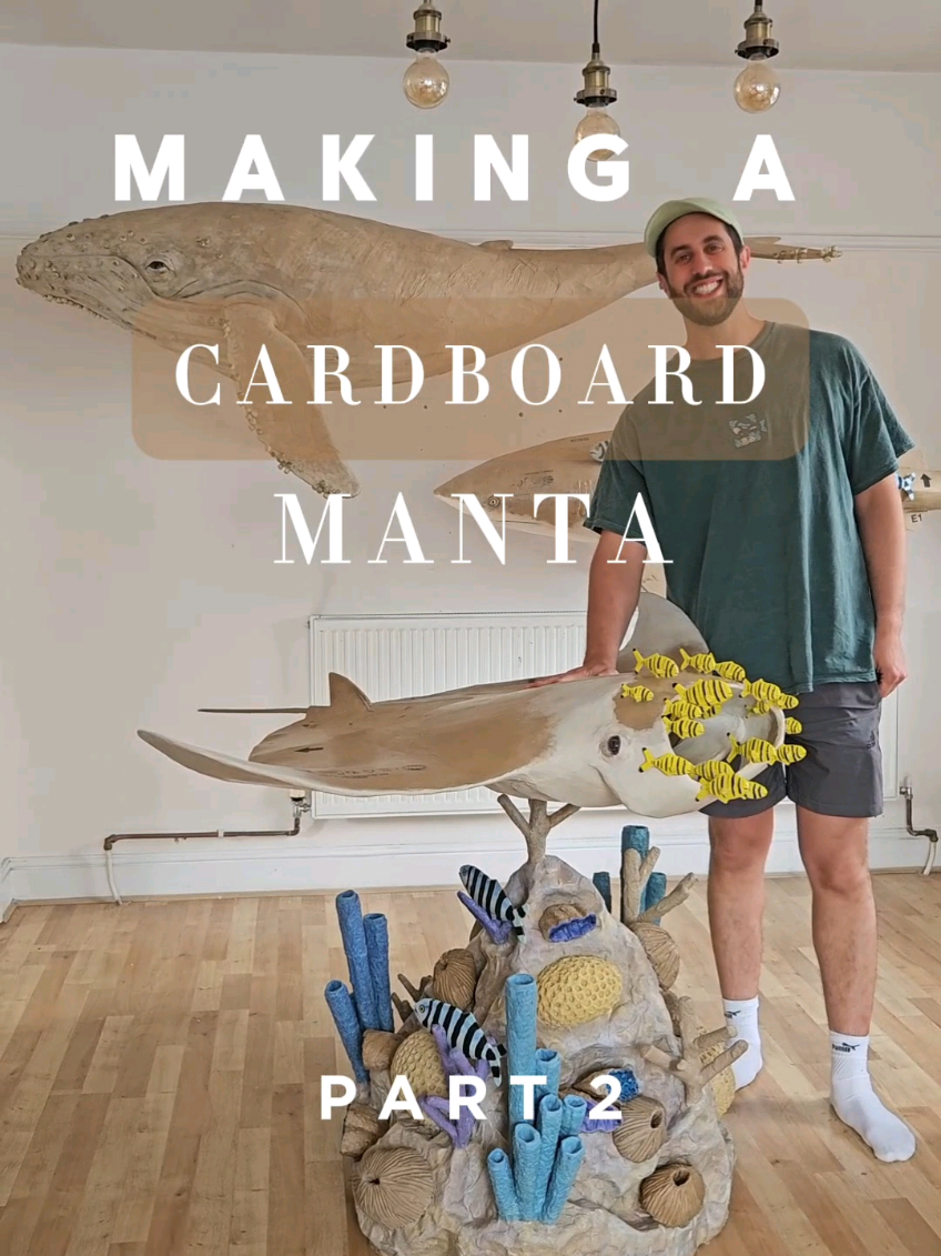 @Josh Gluckstein- Cardboard Art