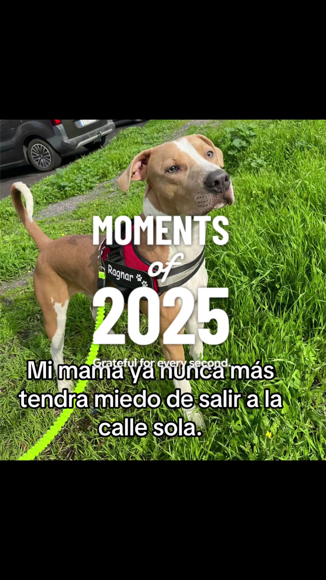 @Laura Sánchez